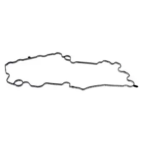 264-791G DORMAN Engine Oil Pan Gasket F-150 Ford