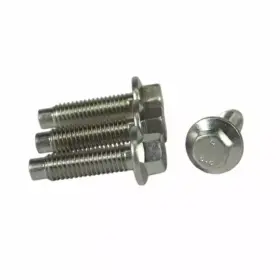 W500224-S437 FORD Oil Pan Screw Escape
