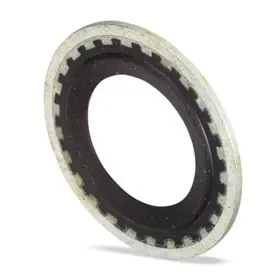 Karparts360 Llx-fjc4061-cl360a70 Gm Sealing Washer 2 Pieces Replacement For Fjc4061 1311344