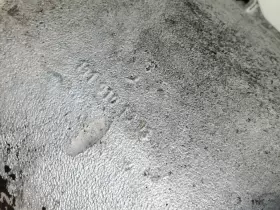1810101913 MERCEDES Diesel Ponton Oil Pan 190D #2