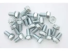 17943WNPN PIONEER CABLES Oil Pan Bolt Set Plymouth Belvedere