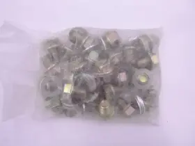 11673A SERVICE CHAMP Pack Oil Drain Plug