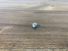 WHT-004-250 VOLKSWAGEN Lower Pan Plug Screw Vw Routan