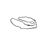 Bc3z*6710*a Gasket Oil Pan For Ford. Fixed Price $67.07.