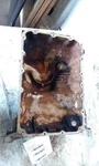 09-17 Honda Accord Oil Pan 3.5 Liter. Fixed Price $172.80.