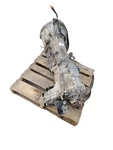 2000 Toyota Tundra V8 4.7l 4wd 4x4 Auto Transmission Assy W/transfer Case A340f. Fixed Price $1035.00.