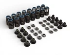2015-2025 Lt4 6.2l Supercharged Valve Springs Seals Retainers Oem Gm. Fixed Price $90.00.