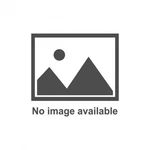 Cometic Gaskets Oil Pan Gasket Set Sbc Iron Eagle/gm Rocket Blk C5104-094. Fixed Price $54.28.