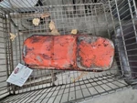 Oil Pan 8-454 7.4l Fits 70-72 74-81 Gmc Forward Control. Fixed Price $115.00.