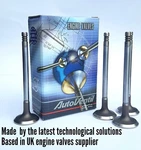 4 Exhaust Valves For 038109611b Tdi Vw Audi Seat Skoda Ford Awx Avf Ajm Atj Ex. Fixed Price $41.65.
