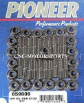 Engine Oil Pan Bolt Pioneer 859009 Bb Chevy Ford 390 Pontiac V8. Fixed Price $125.95.