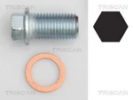 Triscan Oil Pan Screw Plug For Aro Chrysler Daewoo Dodge Infiniti 54-19 Mn195853. Fixed Price $5.22.